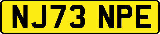 NJ73NPE