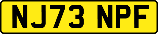 NJ73NPF