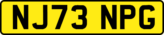 NJ73NPG
