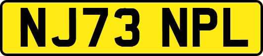 NJ73NPL