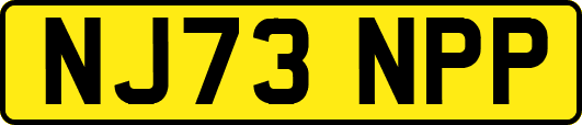 NJ73NPP