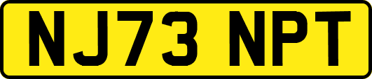 NJ73NPT