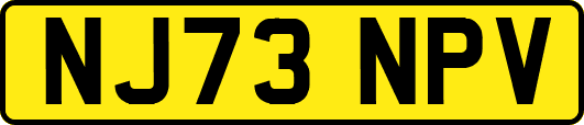 NJ73NPV