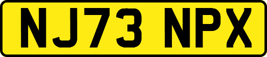 NJ73NPX