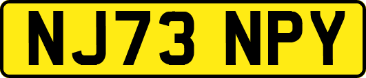 NJ73NPY