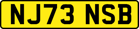 NJ73NSB