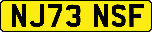 NJ73NSF