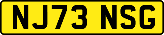 NJ73NSG