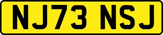 NJ73NSJ