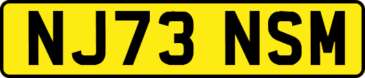 NJ73NSM