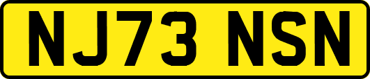 NJ73NSN