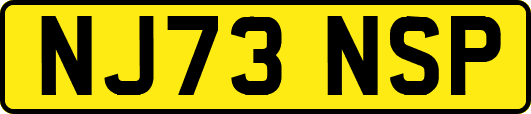 NJ73NSP