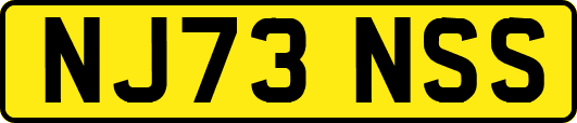 NJ73NSS