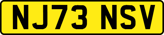 NJ73NSV