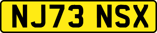 NJ73NSX