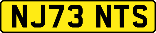 NJ73NTS
