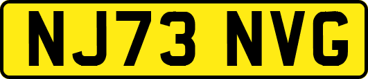 NJ73NVG