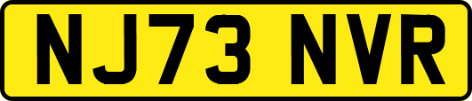 NJ73NVR