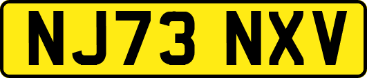 NJ73NXV