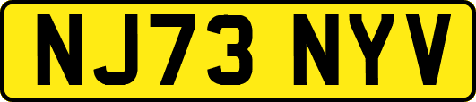 NJ73NYV