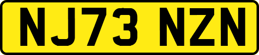NJ73NZN