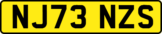 NJ73NZS