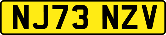 NJ73NZV