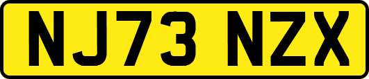 NJ73NZX