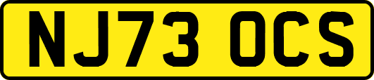 NJ73OCS