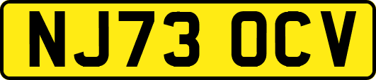 NJ73OCV