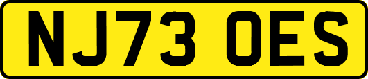 NJ73OES