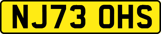 NJ73OHS