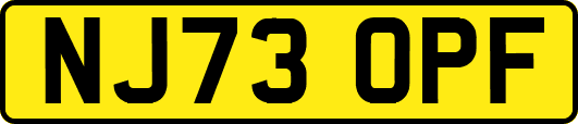 NJ73OPF