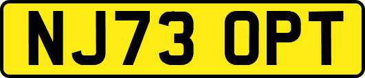 NJ73OPT