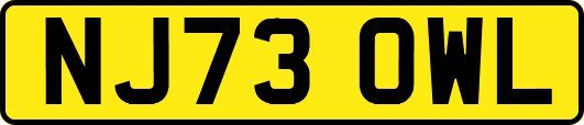 NJ73OWL