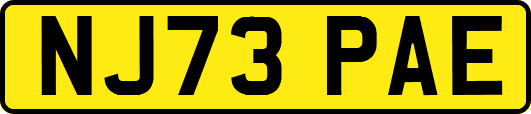 NJ73PAE