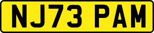 NJ73PAM