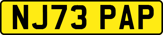 NJ73PAP