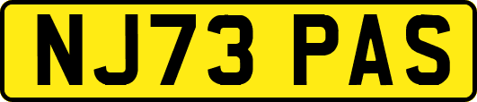 NJ73PAS