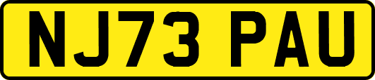 NJ73PAU