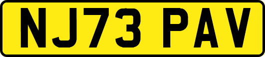 NJ73PAV