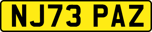 NJ73PAZ