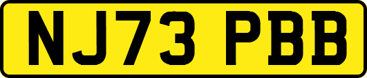 NJ73PBB