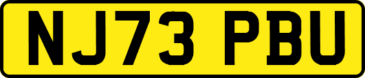 NJ73PBU