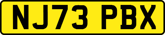 NJ73PBX