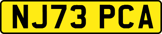 NJ73PCA