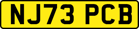 NJ73PCB