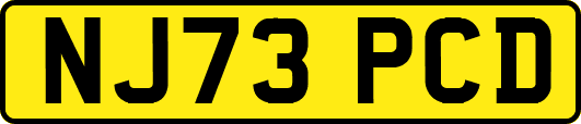 NJ73PCD