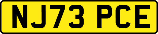 NJ73PCE