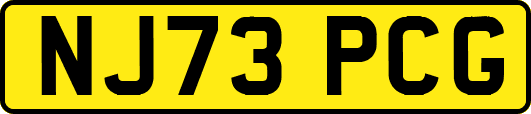 NJ73PCG